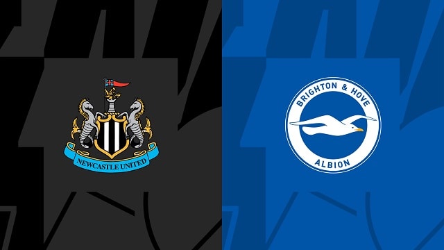 Soi kèo bóng đá trận Newcastle vs Brighton, 19/05/2023 – Ngoại Hạng Anh